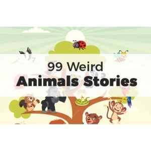 99 Weird Animals Stories – eBook with Resell Rights